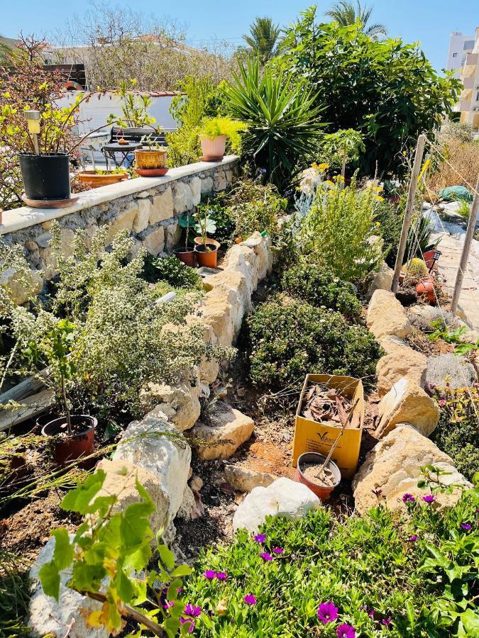 Peaceful Townhouse With Private Pool Near The Sea Apartman Paphos Kültér fotó